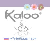 logo-kalooshop