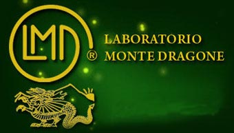 logo-montedragone